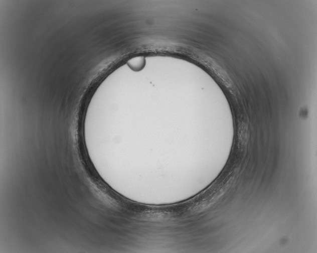 X0000116890629201001121344