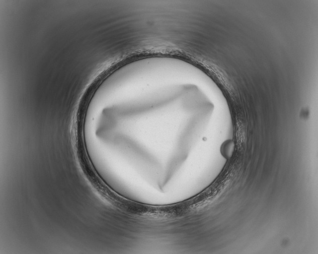 X0000116890630201001121344