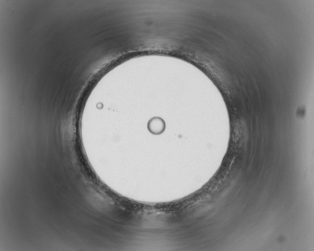 X0000116890632201001121344