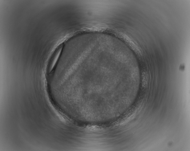 X0000116890634201001121344