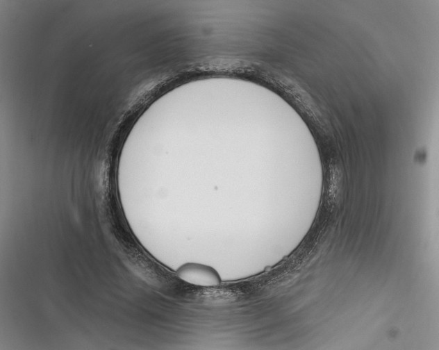 X0000116890636201001121344