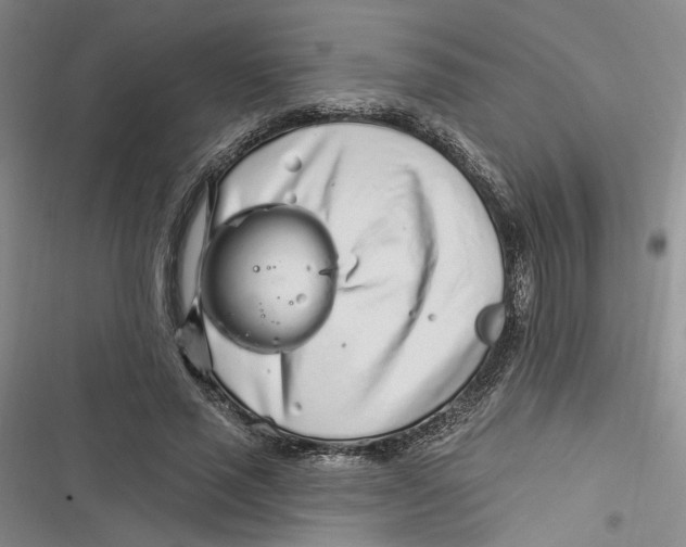 X0000116890637201001121344