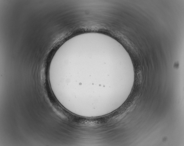 X0000116890638201001121344