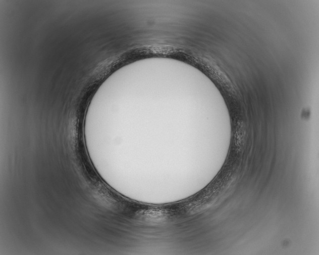 X0000116890639201001121344