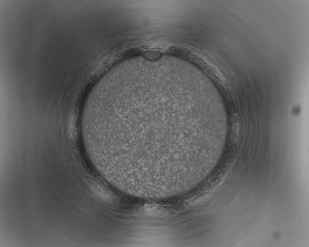 X0000116890641201001121344