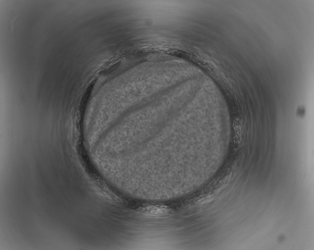 X0000116890642201001121344