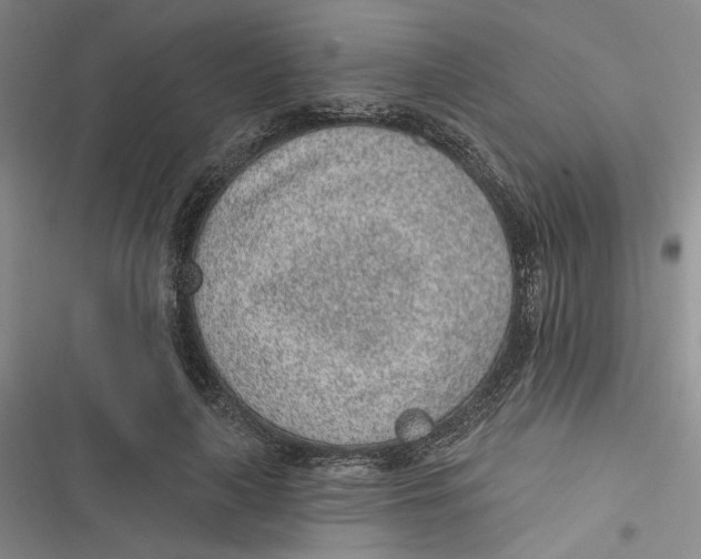 X0000116890643201001121344