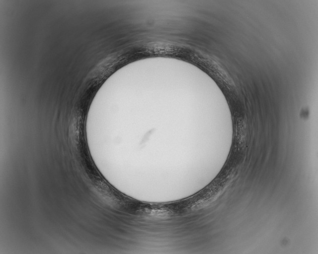 X0000116890645201001121344