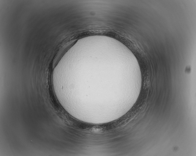 X0000116890647201001121344