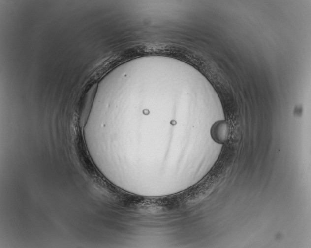 X0000116890648201001121344