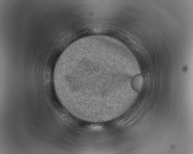 X0000116890651201001121344