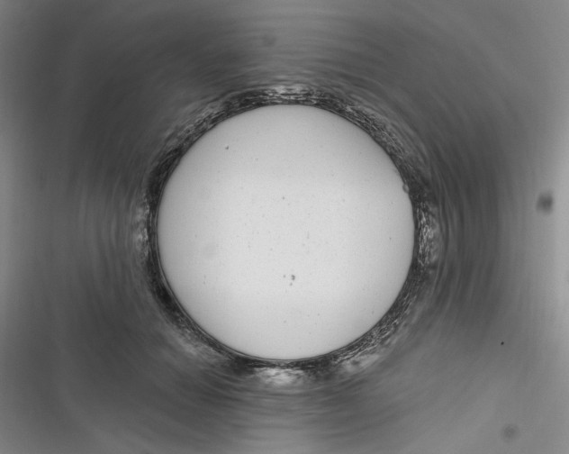 X0000116890654201001121344