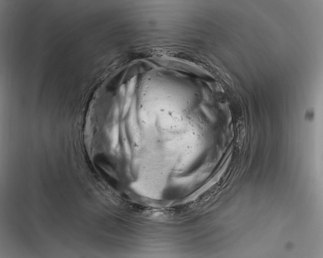 X0000116890655201001121344