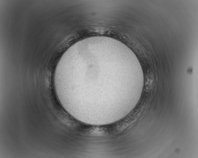 X0000116890656201001121344