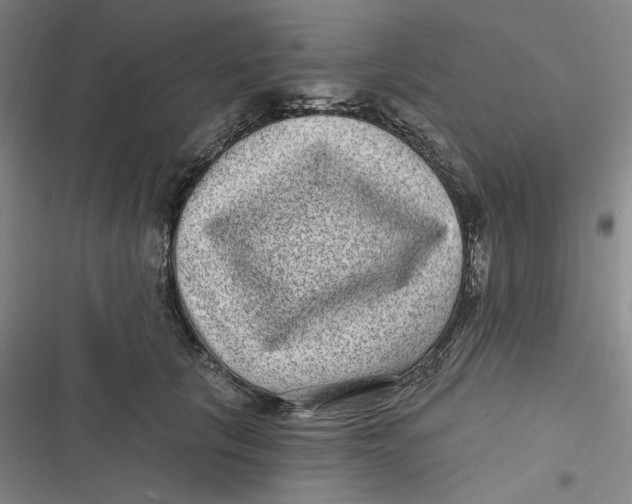 X0000116890657201001121344