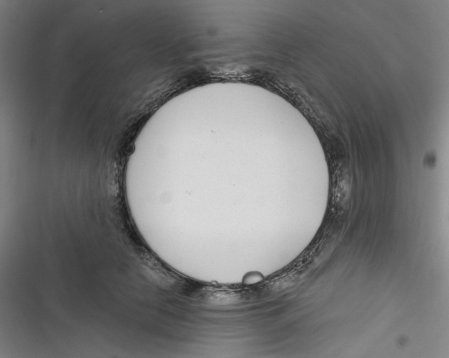 X0000116890658201001121344