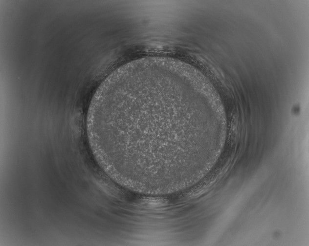 X0000116890659201001121344