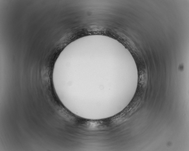 X0000116890662201001121344