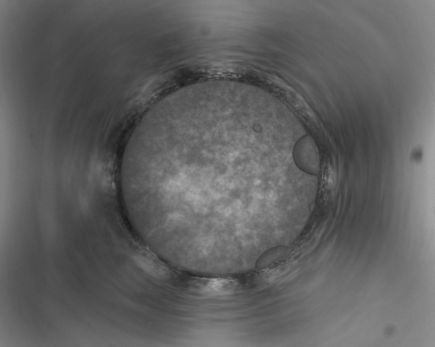 X0000116890663201001121344