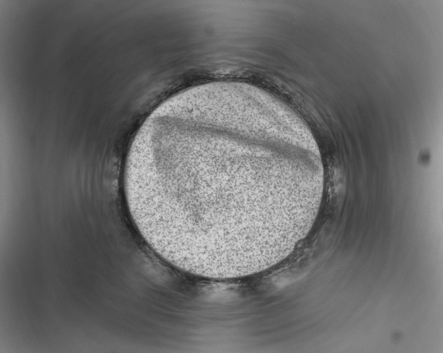 X0000116890664201001121344