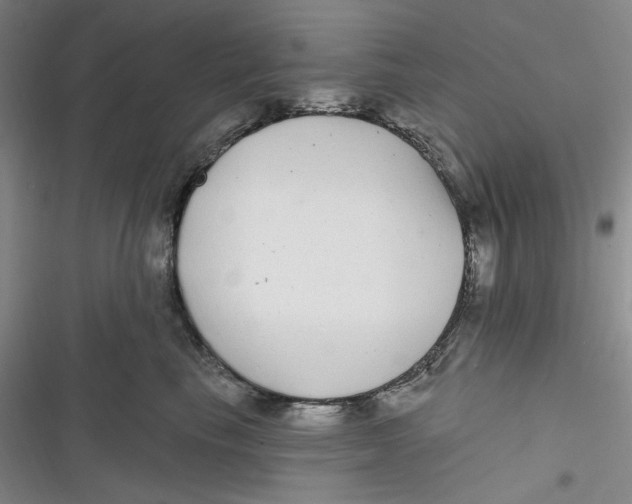 X0000116890665201001121344