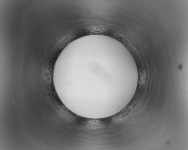 X0000116890666201001121344