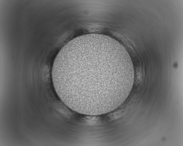 X0000116890667201001121344