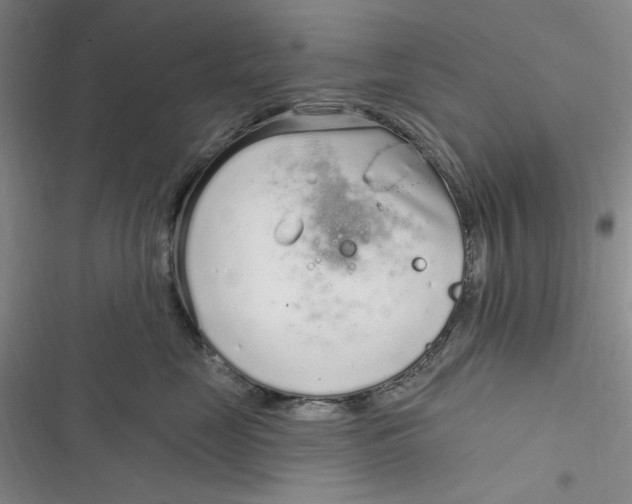 X0000116890669201001121345