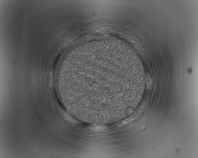 X0000116890670201001121345