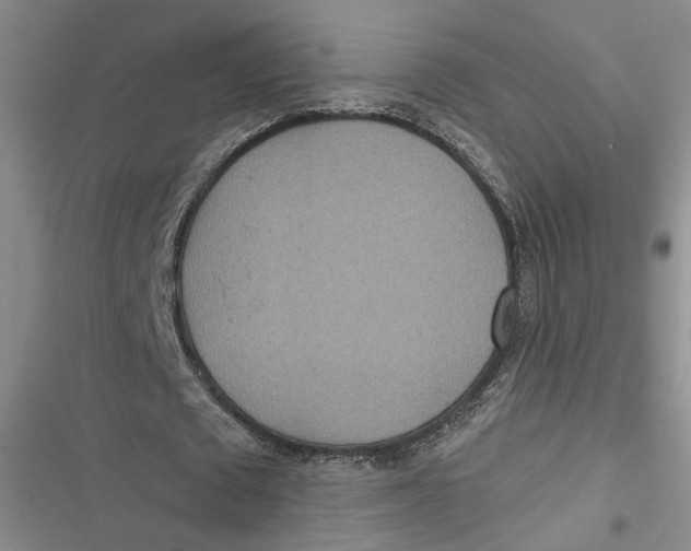 X0000116890673201001121344