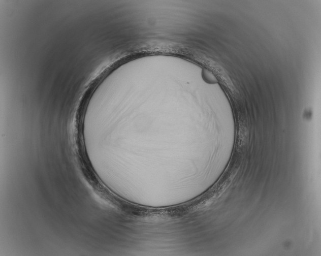 X0000116890674201001121344