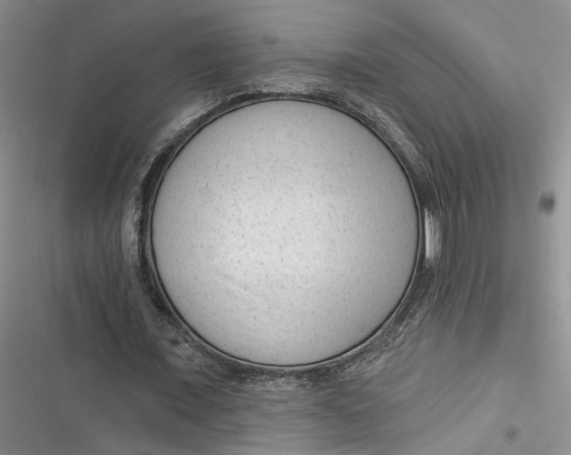 X0000116890675201001121344