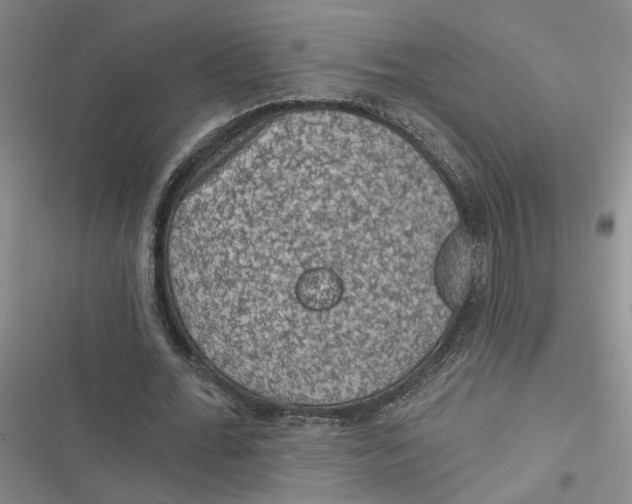 X0000116890676201001121344