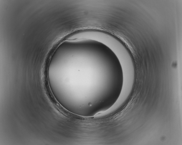 X0000116890677201001121344