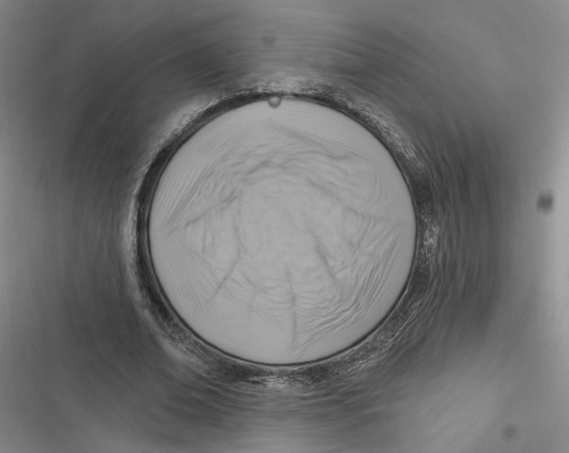 X0000116890678201001121344