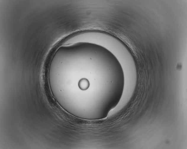 X0000116890680201001121344