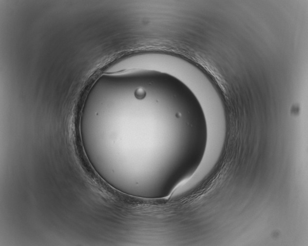 X0000116890681201001121344