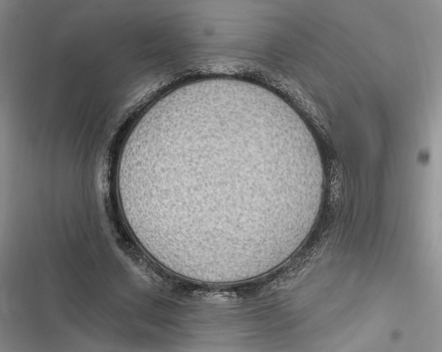 X0000116890683201001121344