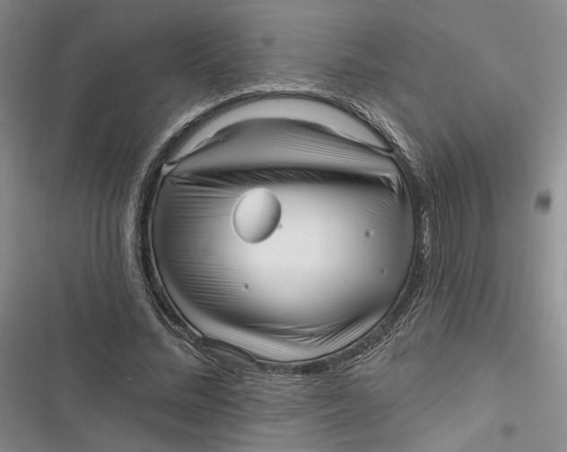 X0000116890684201001121344