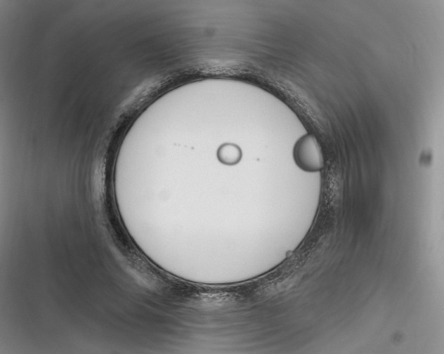 X0000116890686201001121344