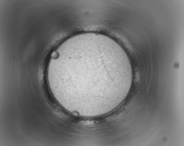 X0000116890687201001121344