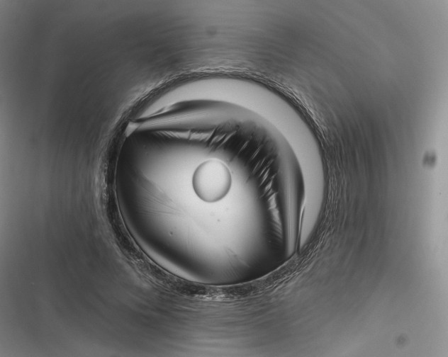 X0000116890688201001121344