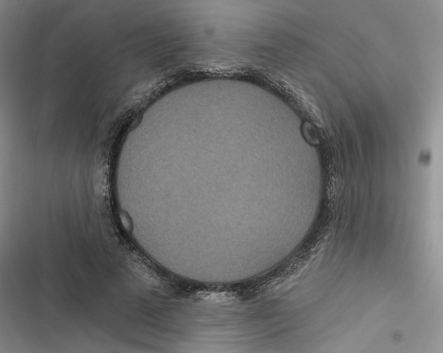 X0000116890689201001121344