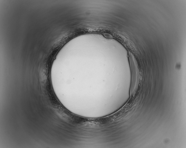 X0000116890691201001121344