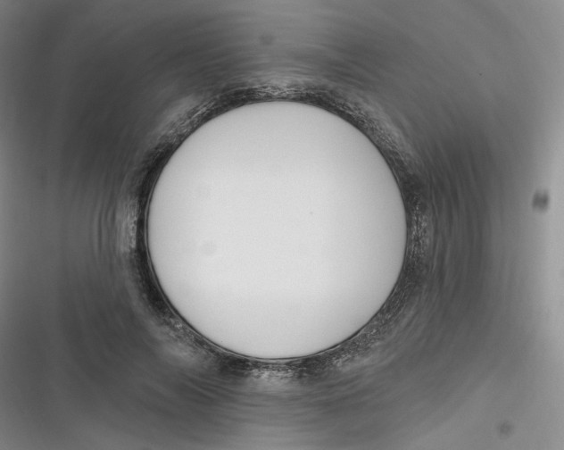 X0000116890694201001121344