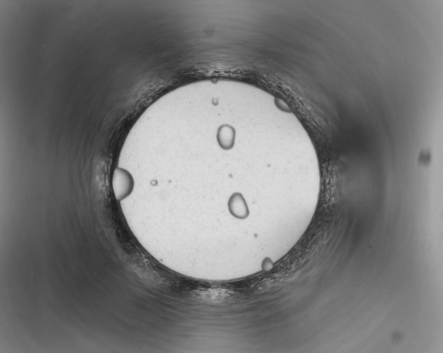 X0000116890695201001121344