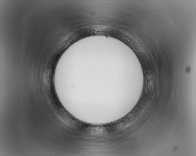 X0000116890698201001121344