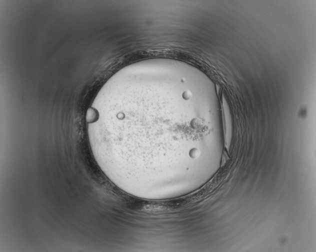 X0000116890699201001121344