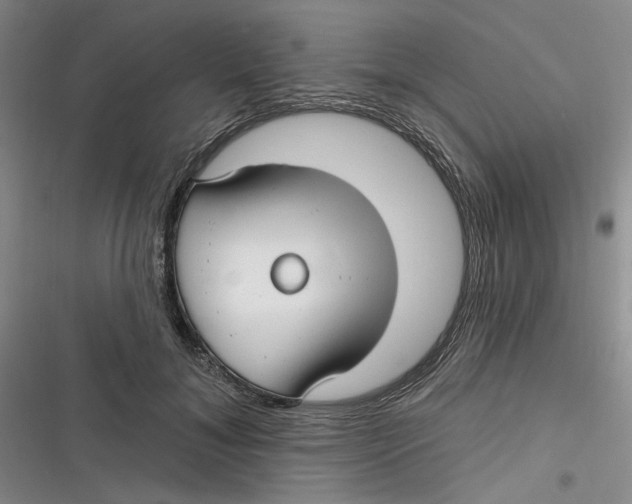 X0000116890700201001121344