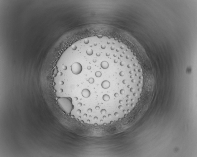 X0000116890701201001121344